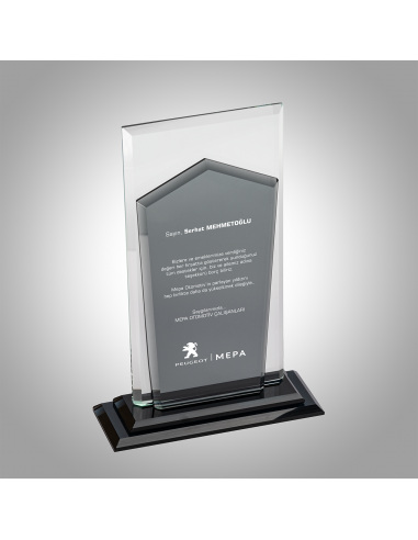 PB606 Kristal Plaket