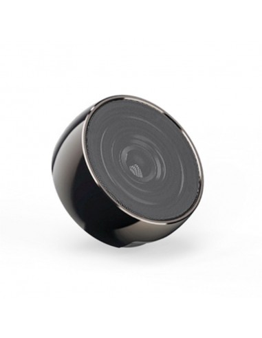 SPK-80 Speaker