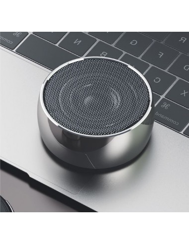 SPK-80 Speaker