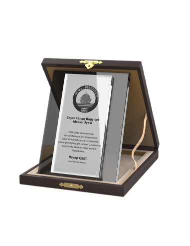 PB2013 Kristal Albüm Plaket