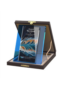 PB2014 Kristal Albüm Plaket