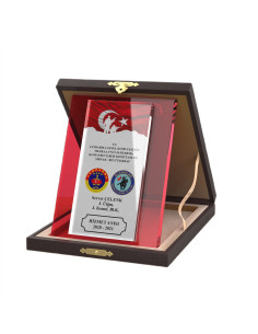 PB2014 Kristal Albüm Plaket 2