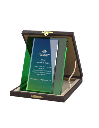 PB2014 Kristal Albüm Plaket