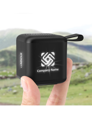 DP-4101 Bluetooth Hoparlör