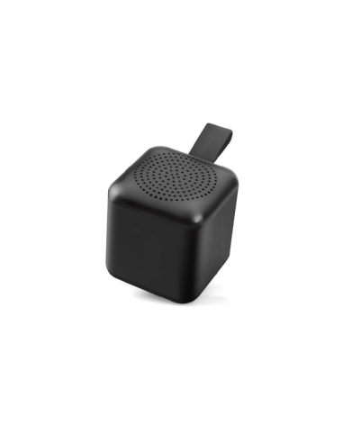 DP-4101 Bluetooth Hoparlör