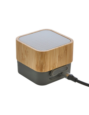 DP-4109 Bluetooth Hoparlör