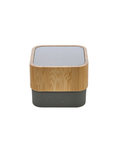 DP-4109 Bluetooth Hoparlör