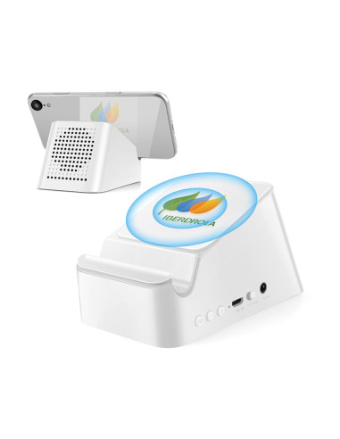DP-4100 Bluetooth Standlı Hoparlör