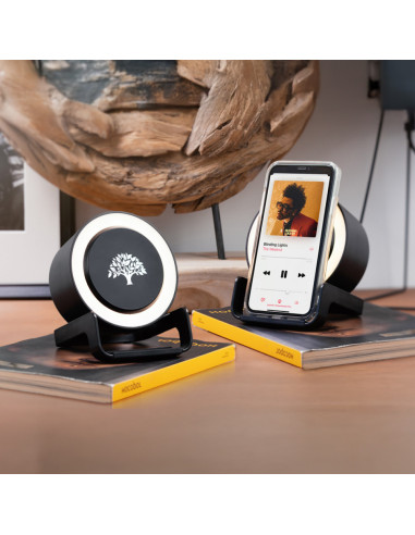 DP-4270 Wireless Şarj & Hoparlör