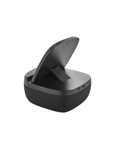 DP-4250 Wireless Şarj & Hoparlör