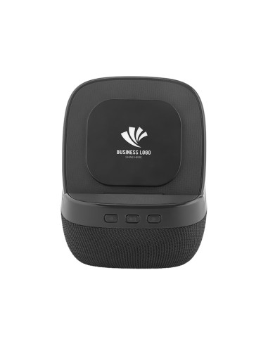 DP-4250 Wireless Şarj & Hoparlör