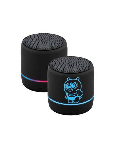 DP-4107 Bluetooth Hoparlör