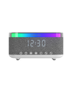 DP-43355 Bluetooth Speaker