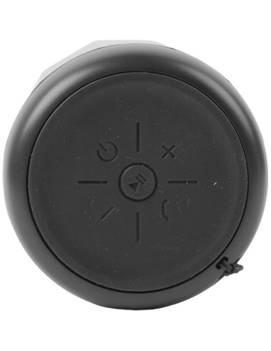 DP-100 Speaker