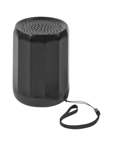 DP-100 Speaker
